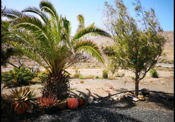 Vila Casa La Solapa Pájara Exteriér fotografie